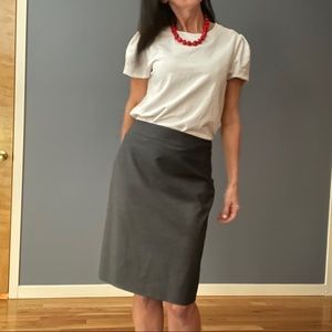 Ann Taylor skirt
